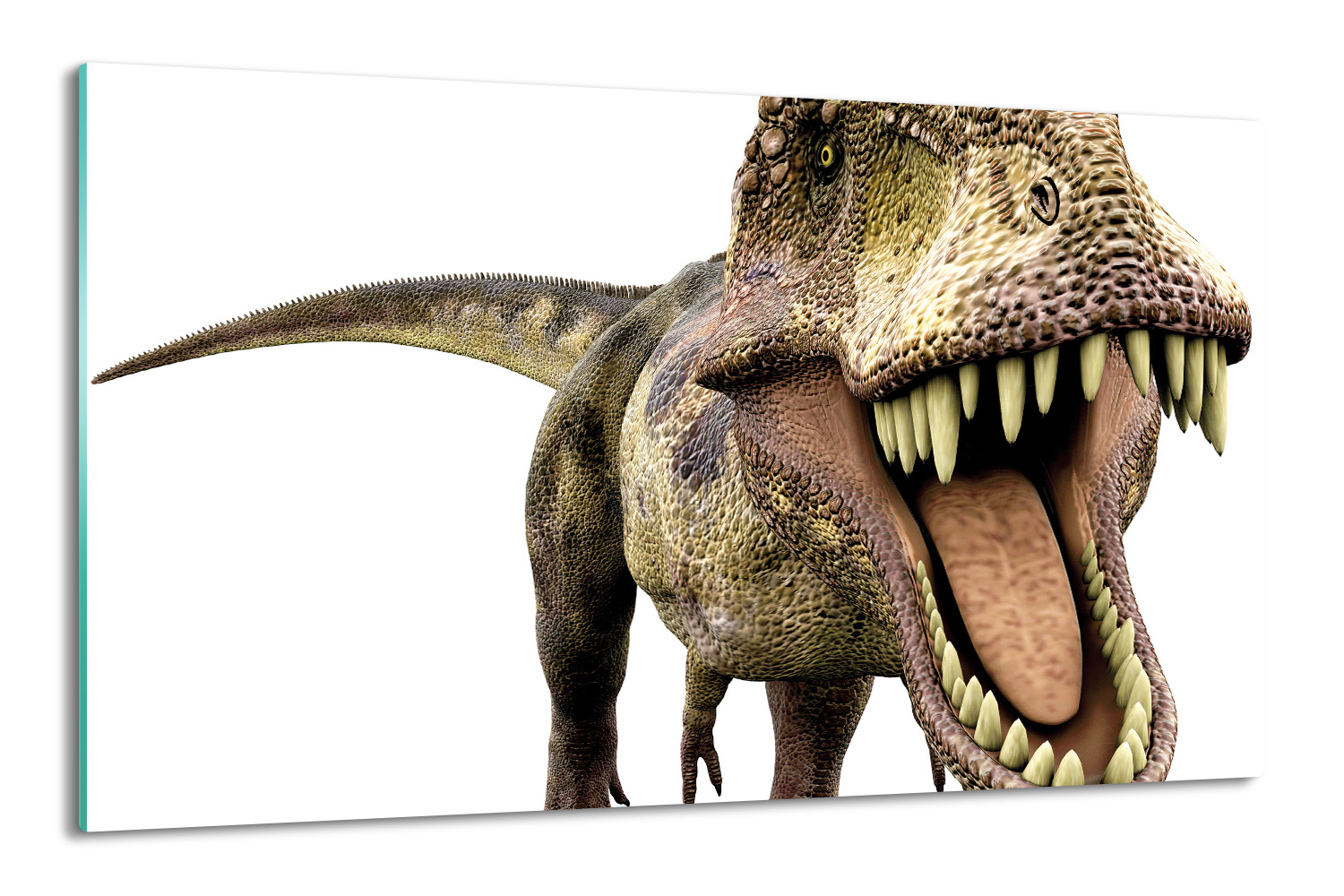 ochrana na indukci 80x52 Dinosaurus T-rex zuby