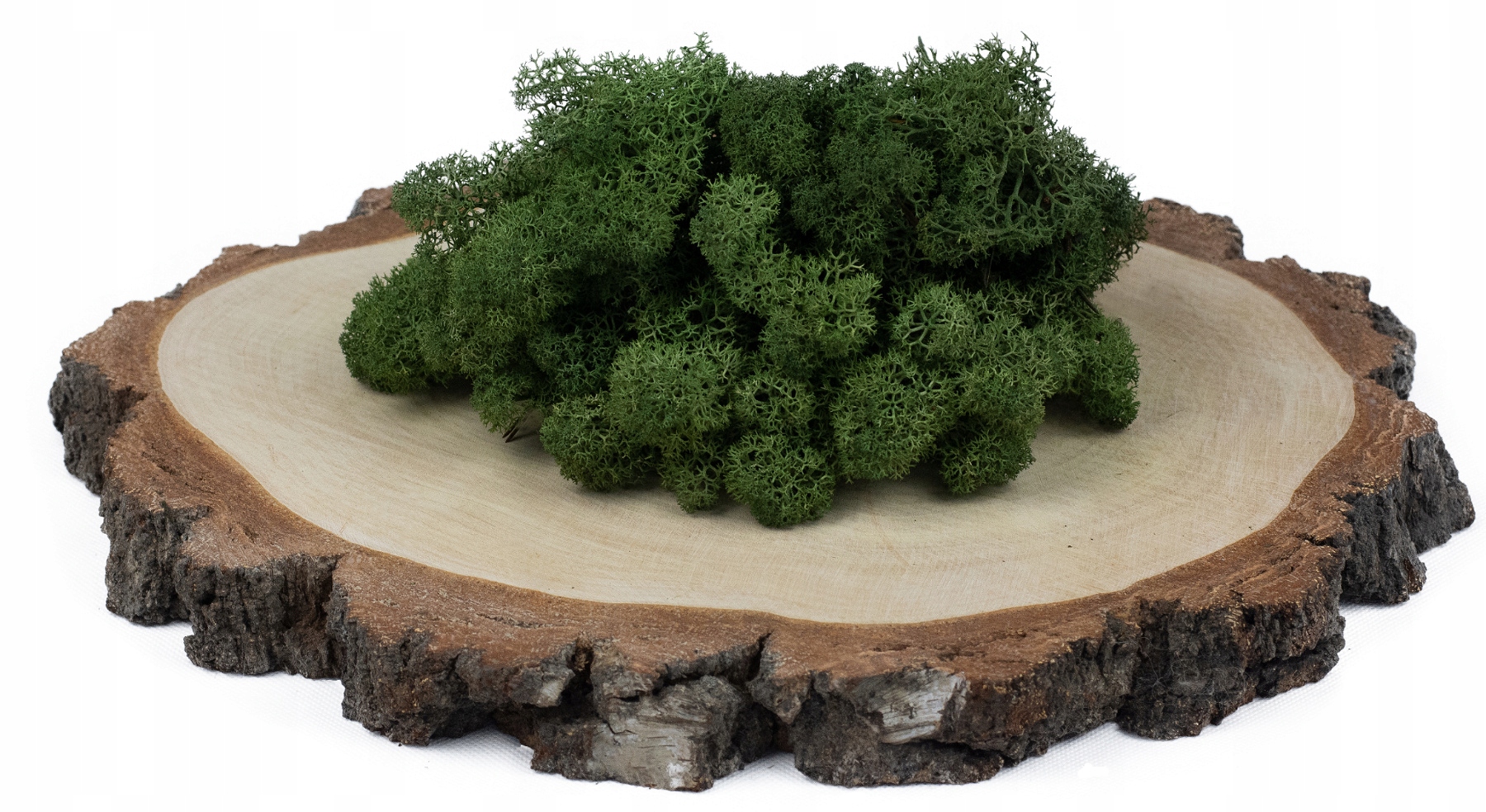 

Mech Chrobotek Reniferowy Leśny Ciemny 500g