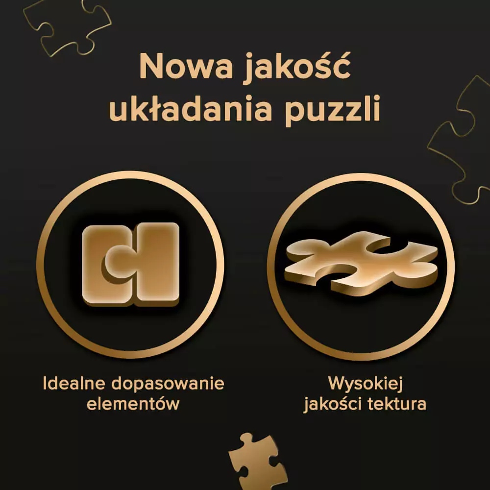 PUZZLE 1000 PREMIUM MAŁA WENECJA W COLMAR 10816