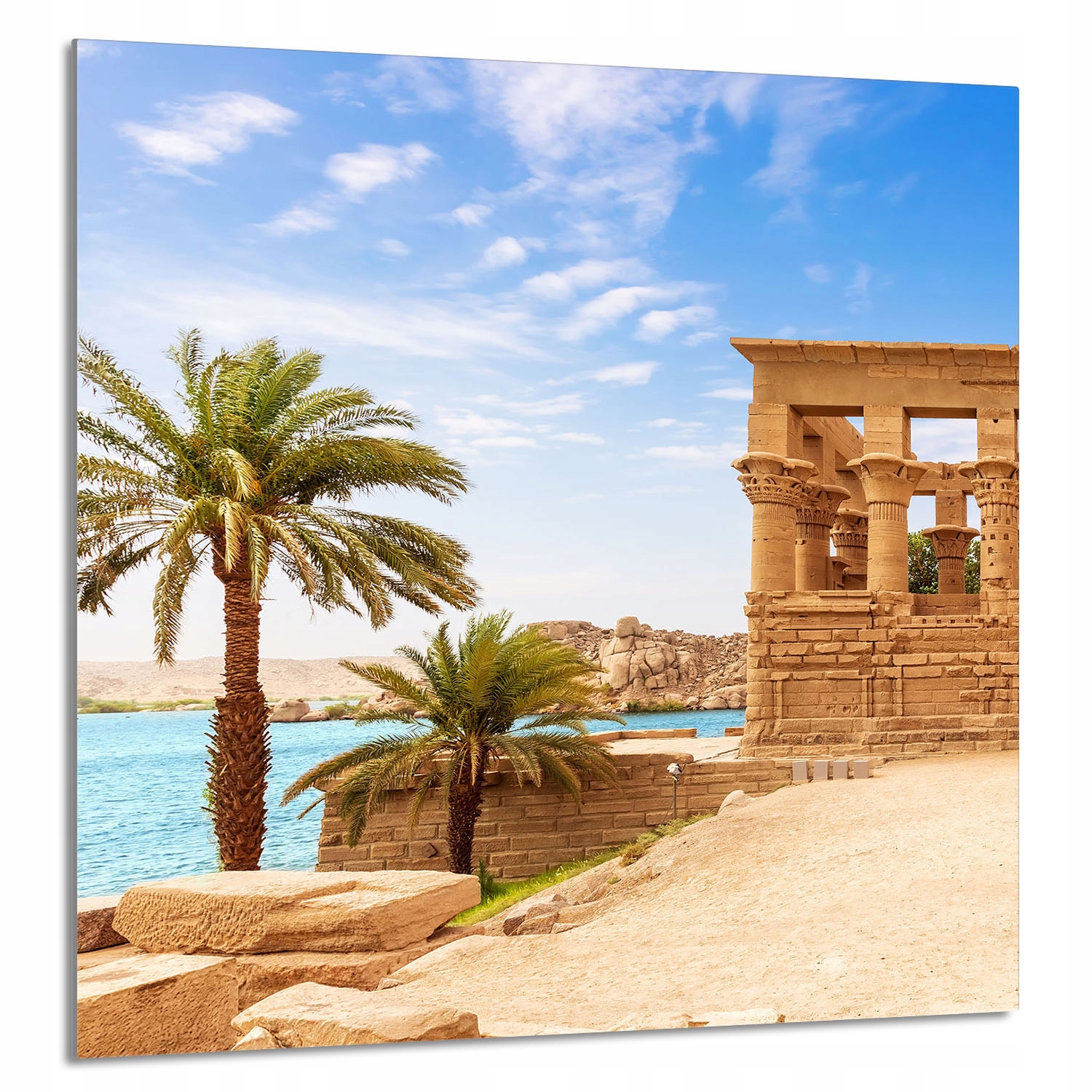 Skleněný Panel Do Kuchyně 60x65 Palmy Tvrzené Sklo