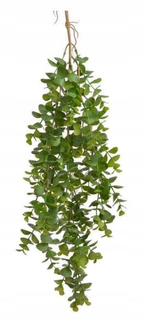 

Eukaliptus wiszący sztuczne liście bluszcz 80 cm