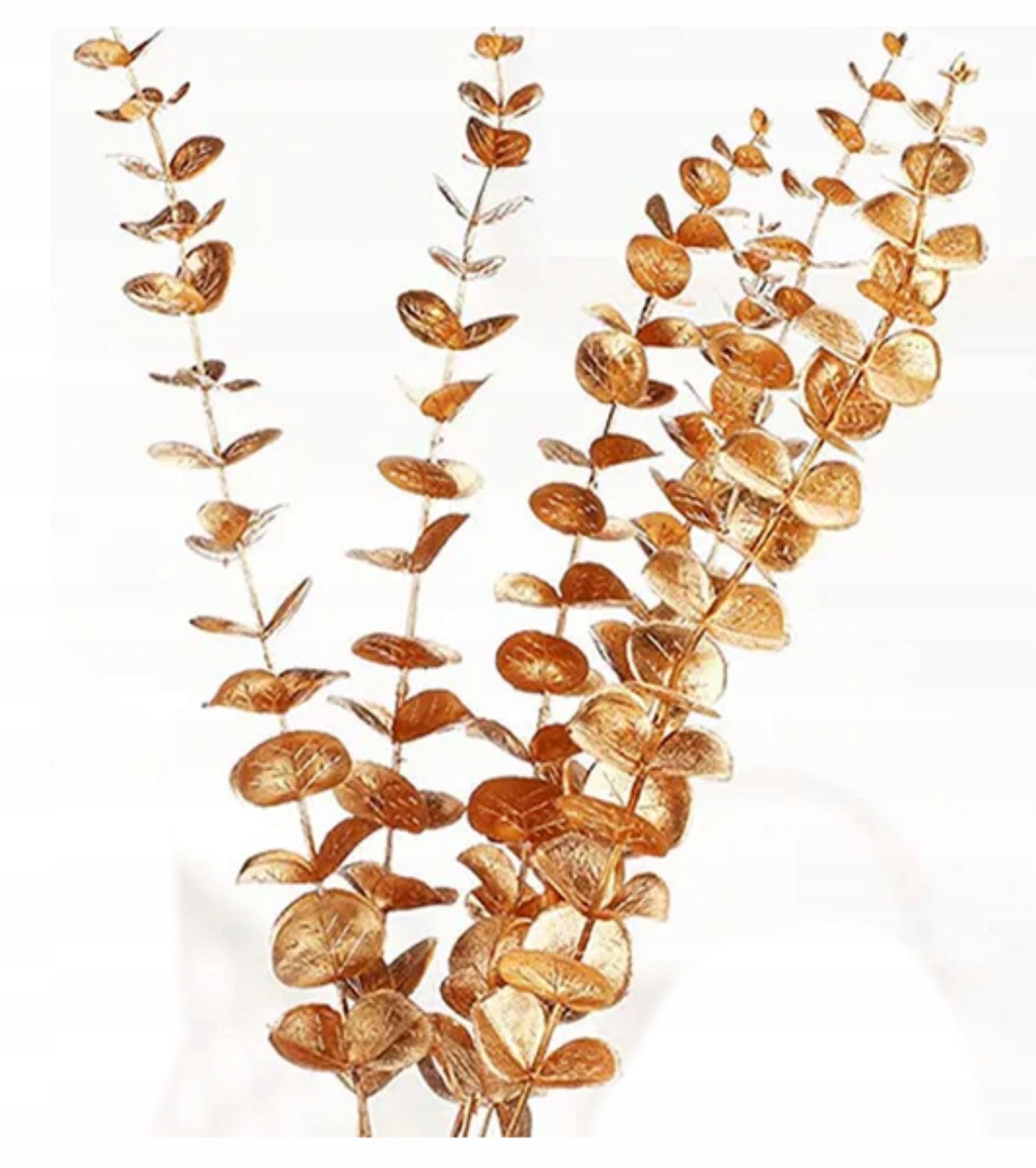 EUKALIPTUS GAŁĄZKA EUKALIPTUSA ZŁOTA 5 RAMION 85cm