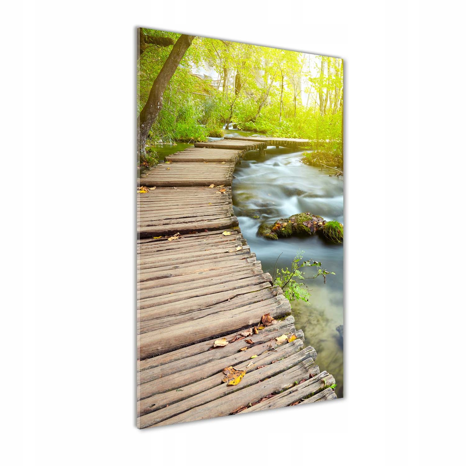 

Foto obraz szkło akrylowe Ścieżka w lesie 70x140cm