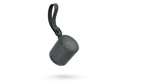 SONY SRS-XB100 Przenośny Głośnik Bluetooth Wodoodporny IP67 16h Czas Pracy — miniatura 2
