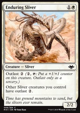 

Enduring Sliver