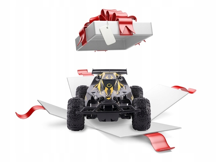 Samochód zdalnie sterowany OVERMAX X-RALLY RC DUŻY Zasięg pilota 100 m