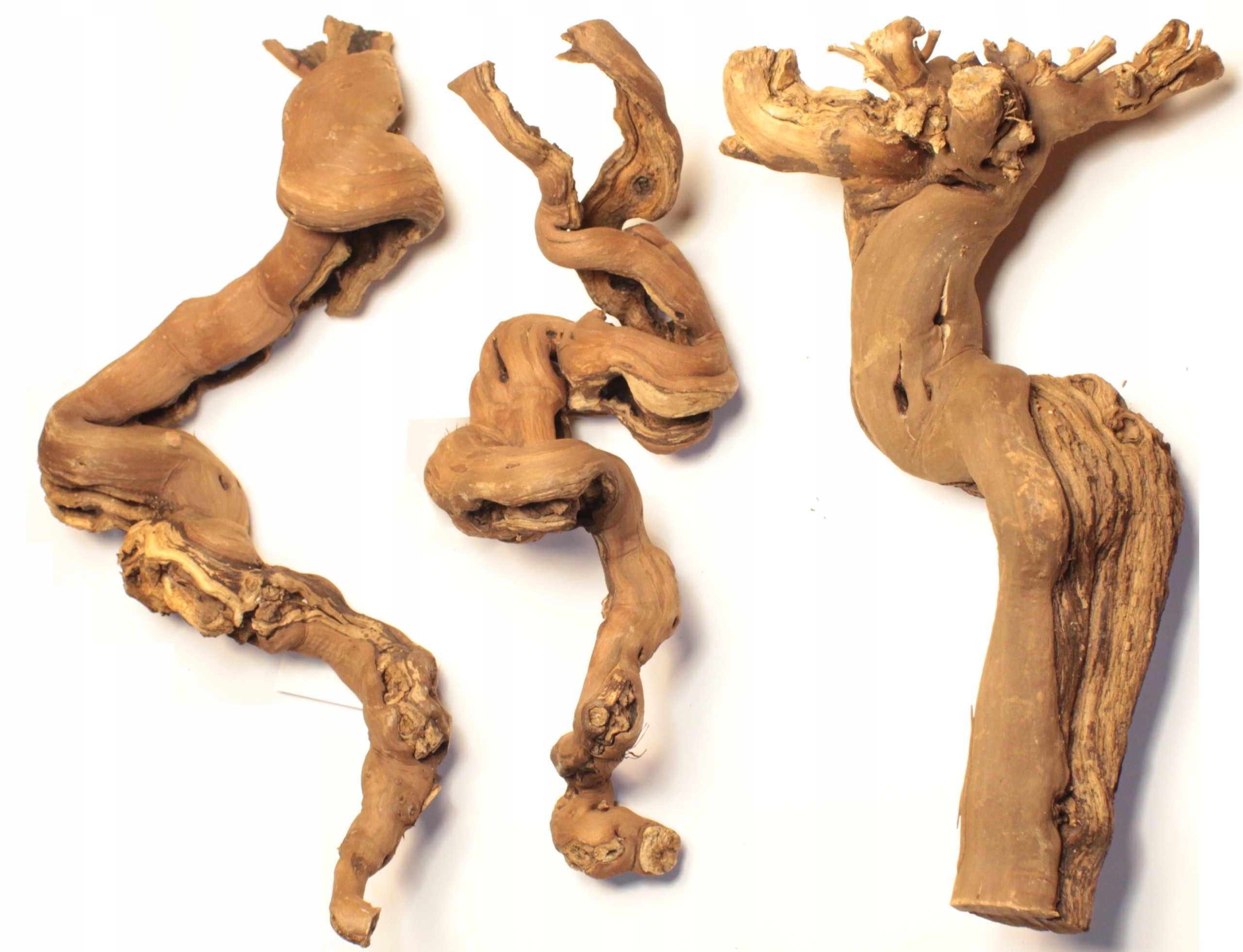 

Korzeń winorośli Snake Wood 40-45cm