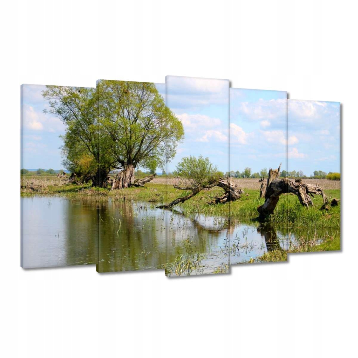 Obrazy 100x60 Warta