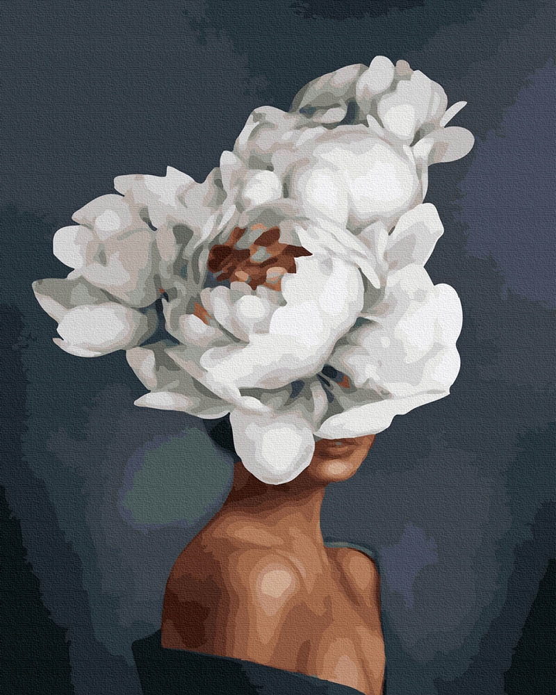 Malování podle čísel iPicasso 50x65 cm na rámu
