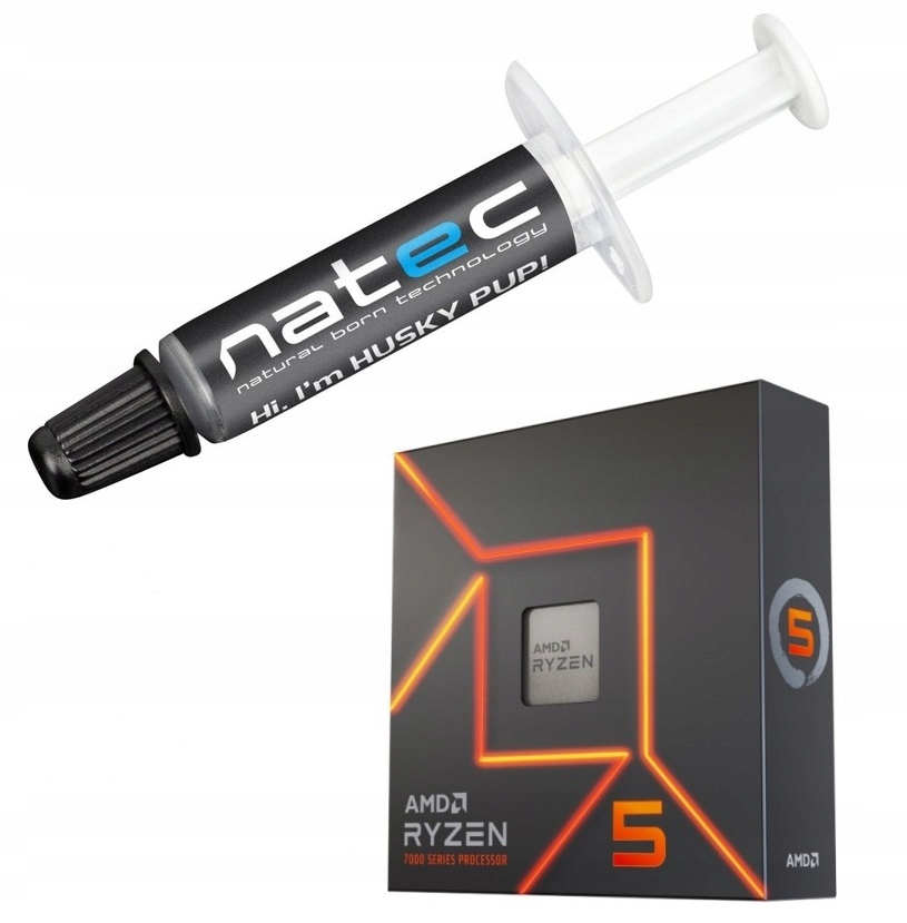 Amd Ryzen 5 7600X Box 4,7 GHz 32 Mb AM5 100-100000593WOF Natec pasta