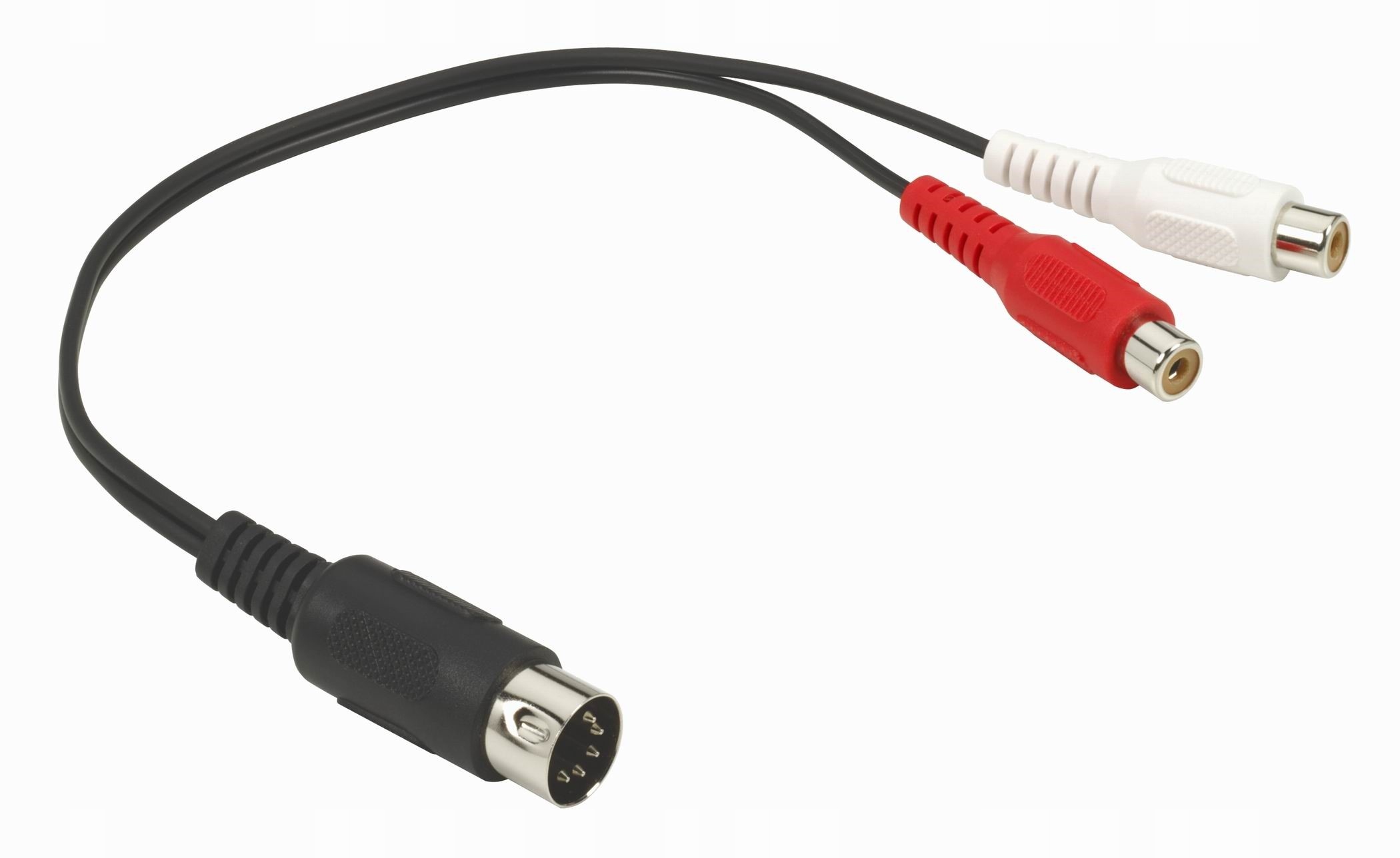 Adapter DIN 5 wt. - 2x cinch RCA gn. THOMSON 0,2m