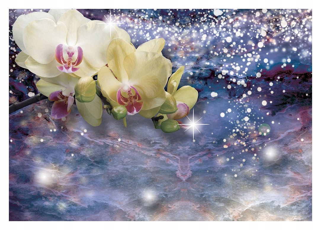 Vliesová fototapeta Orchidea Phalaenopsis jemný kvet 312x219 lepidlo