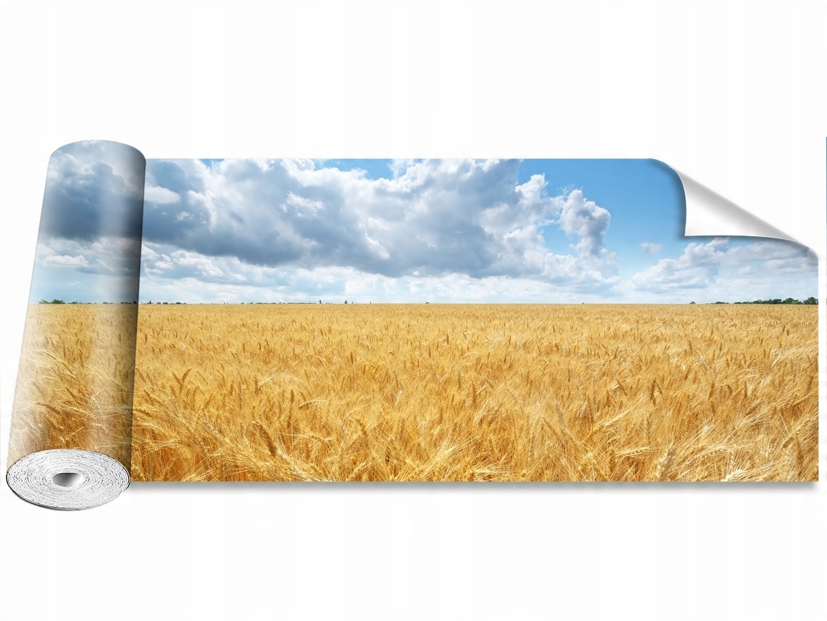 

Fototapeta Samoprzylepna Pole pszenicy 250x104