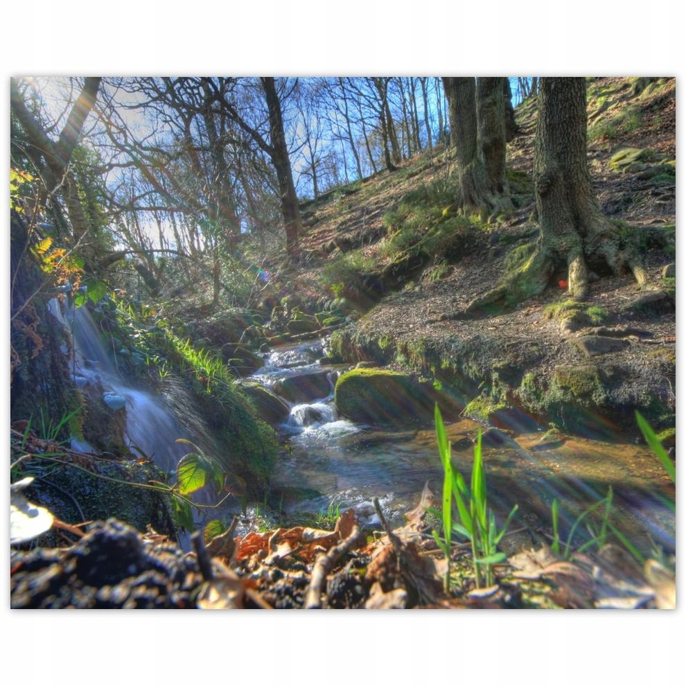 

Plakat 50x40 Wschód słońca