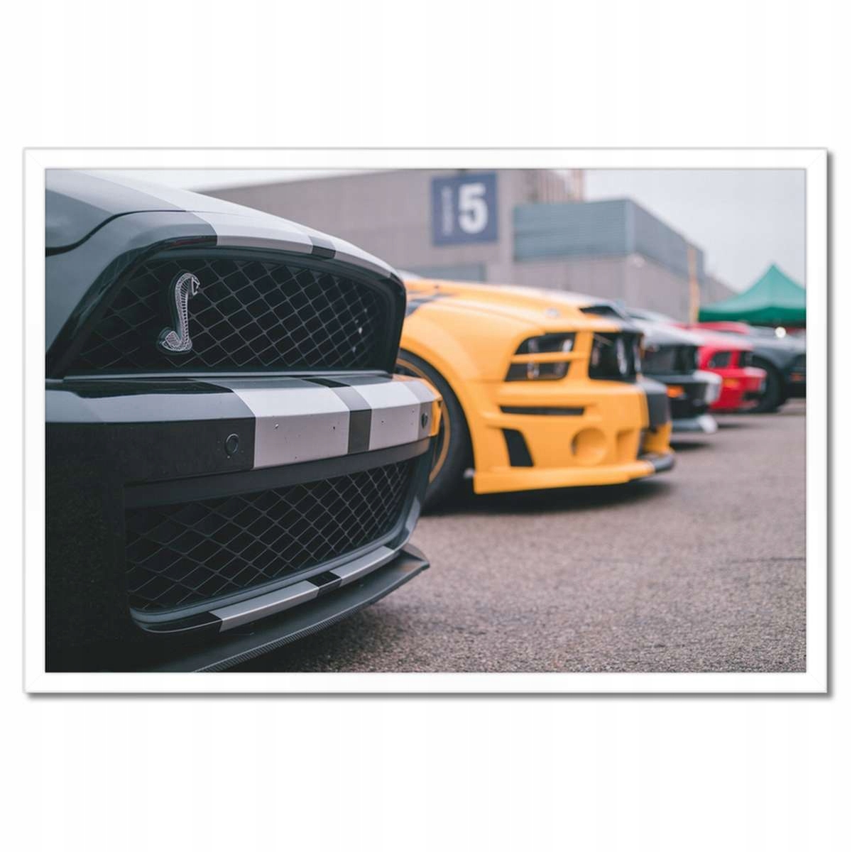 Plakáty v rámu 60x40 Ford Mustang Auto