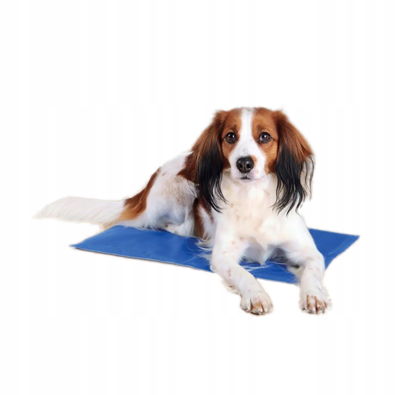 Levně Chladící Podložka Pro Psa Kočku 50x40 cm Modrá