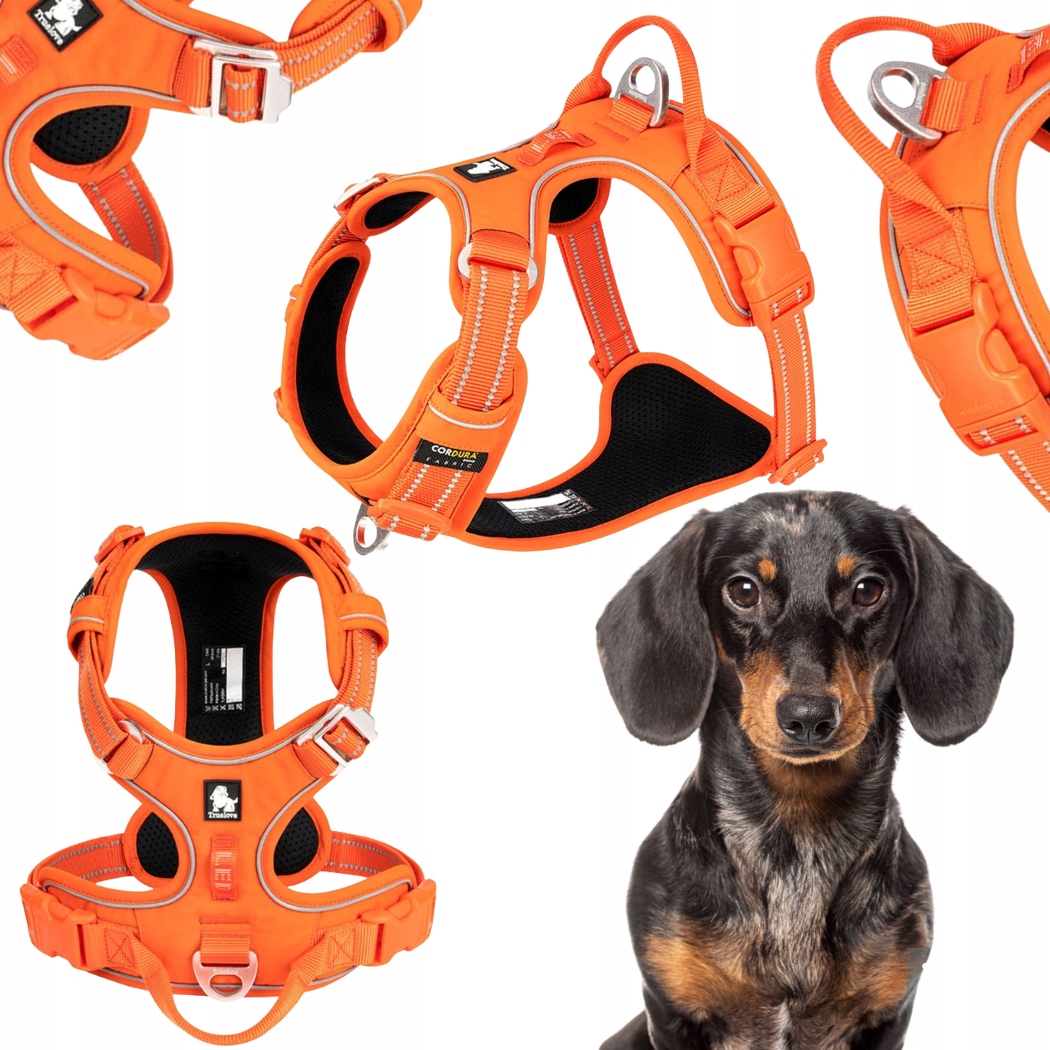 Levně Postroj Pro Psa Easy Walk Truelove Front Line Premium Cordura Oranžový