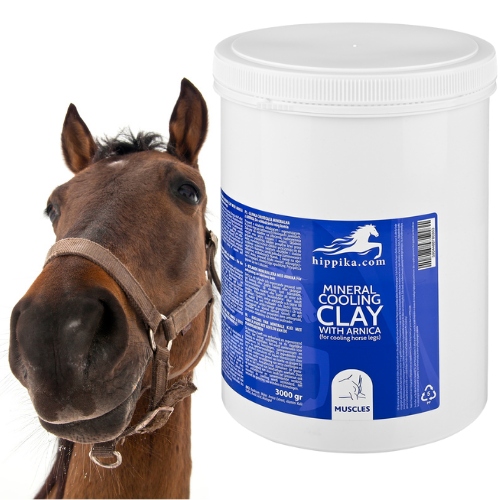 Glinka chłodząca dla koni z arniką kojąca mineralna Hippika 3kg XXL