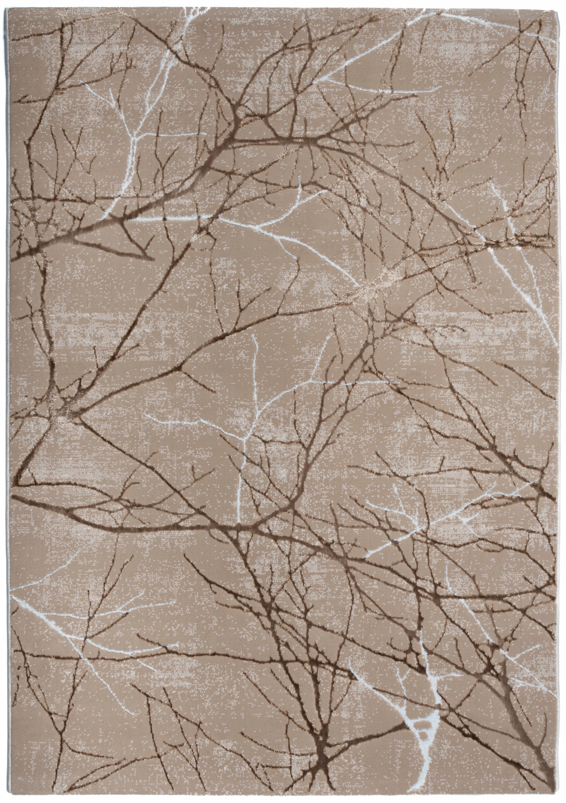 Koberec Glamour Salon Ložnice Lesk 120x170 Béžová