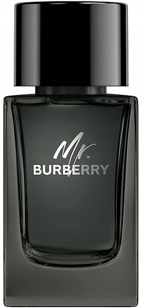 Burberry Mr. Burberry Edp 100 ml