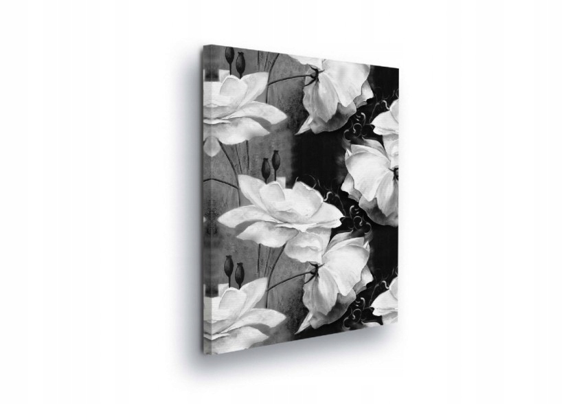 Obraz 75x100 Minimalismus v květech Bílé vločky na černém sametu