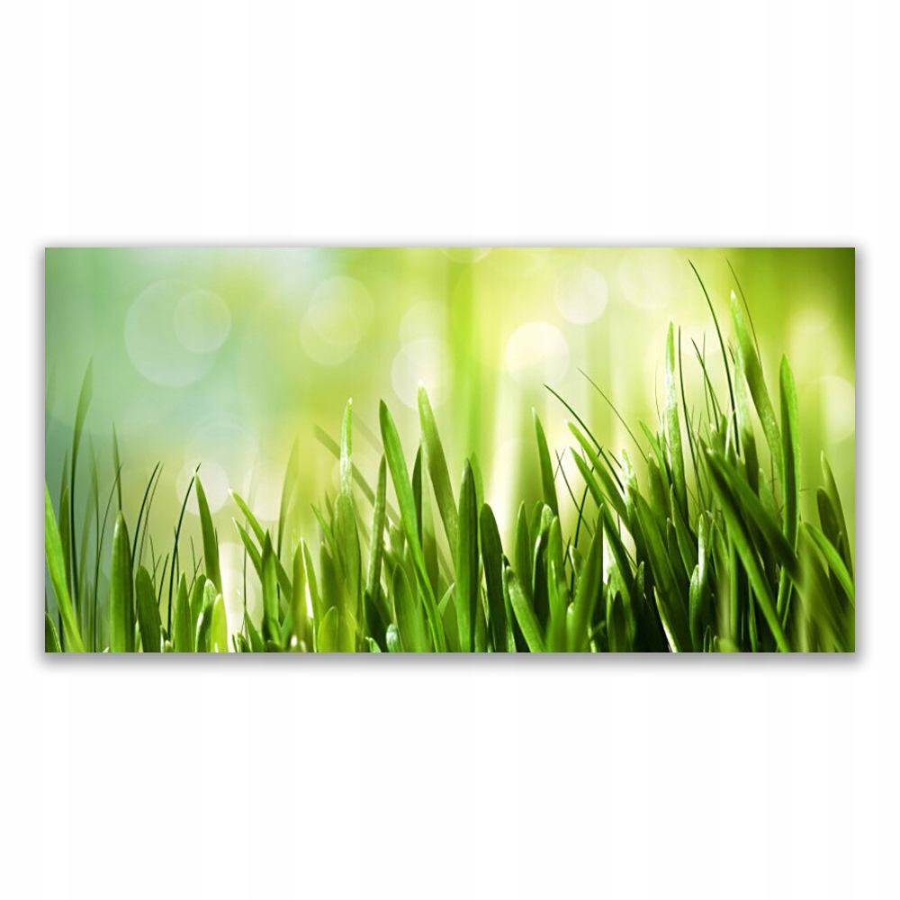 

Fotoobraz ścienny na prezent 140x70 Trawa Natura