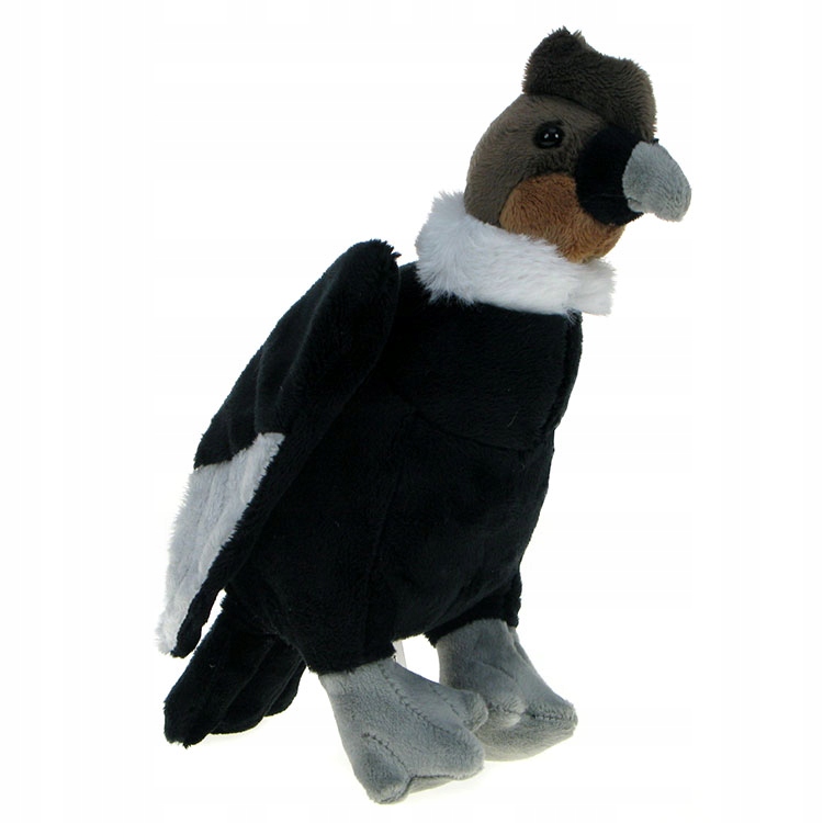 

Zoo: maskotka ptak Kondor 22cm (69898)