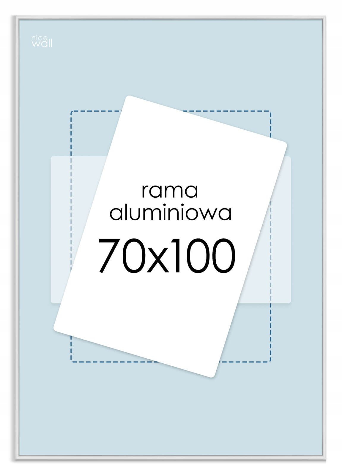 

Ramka na zdjęcia 70x100 cm Srebrna rama aluminiowa