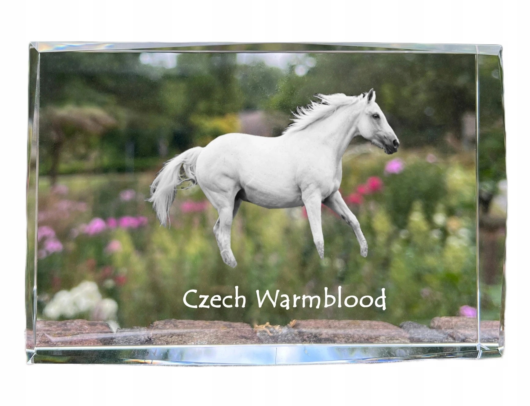 Czeski koń pełnej krwi angielskiej kryształ ze zdjęciem konia, zdjęcie w