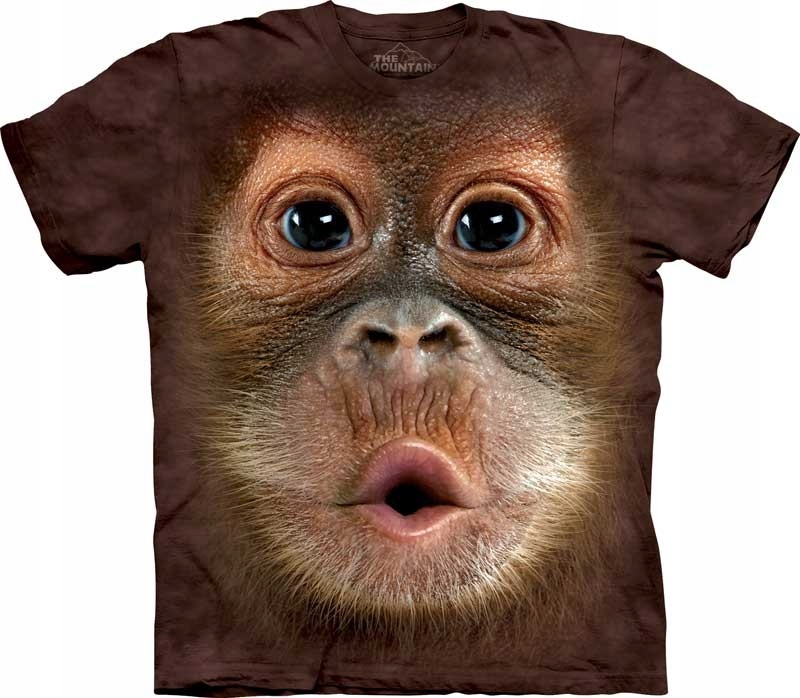 Big Face Baby Orangutan The Mountain M