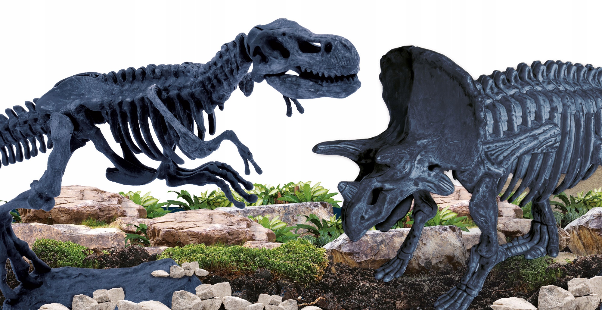 LISCIANI A'M GENIUS POZNAJ MINERAŁY Z CAŁEGO ŚWIAT