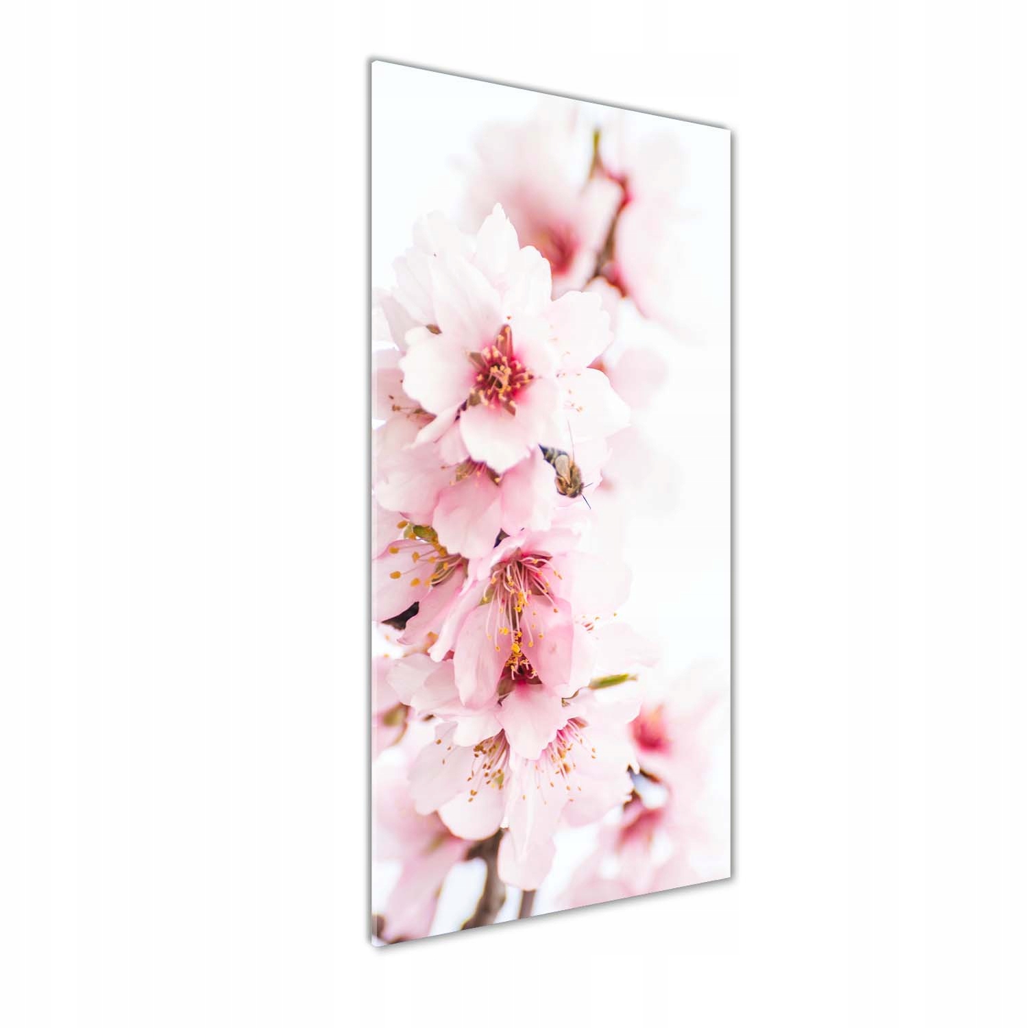 

Foto obraz akrylowy Kwiaty migdałowca 50x125 cm