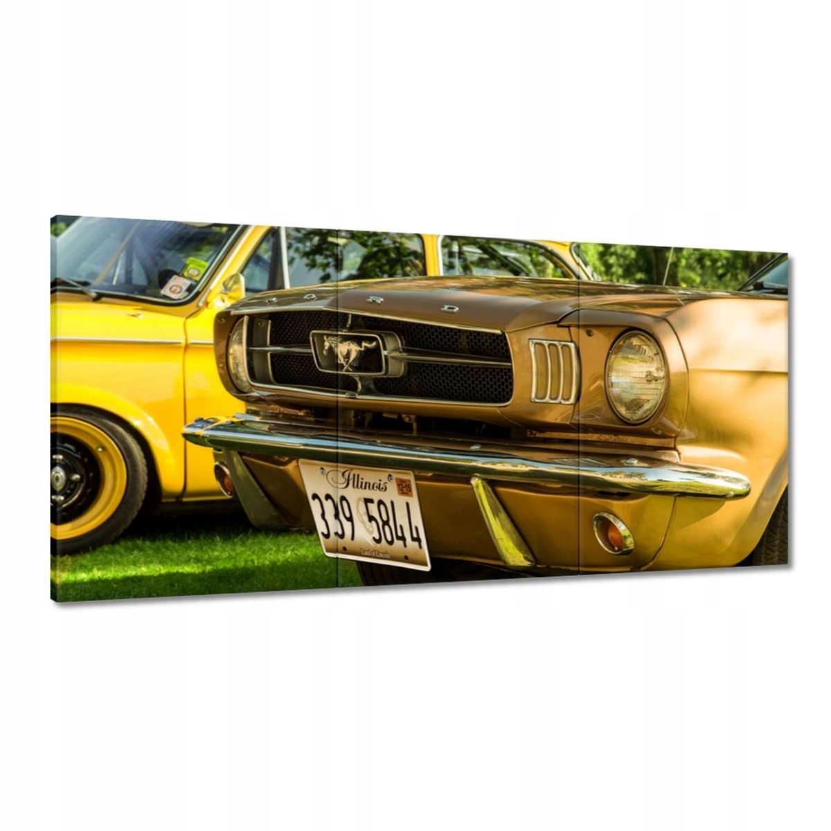 Obrazy 180x90 Form Mustang vyrobené v Usa