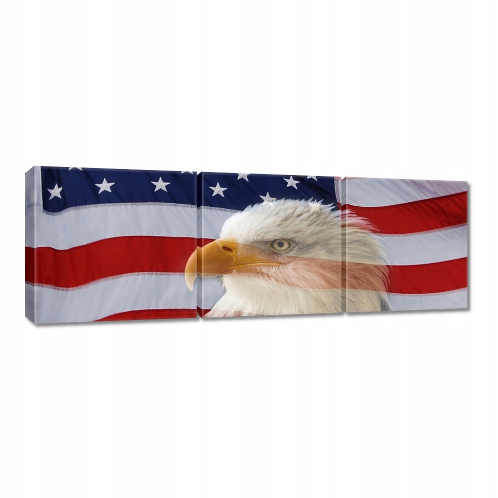 

Obrazy 60x20 Freedom from Usa