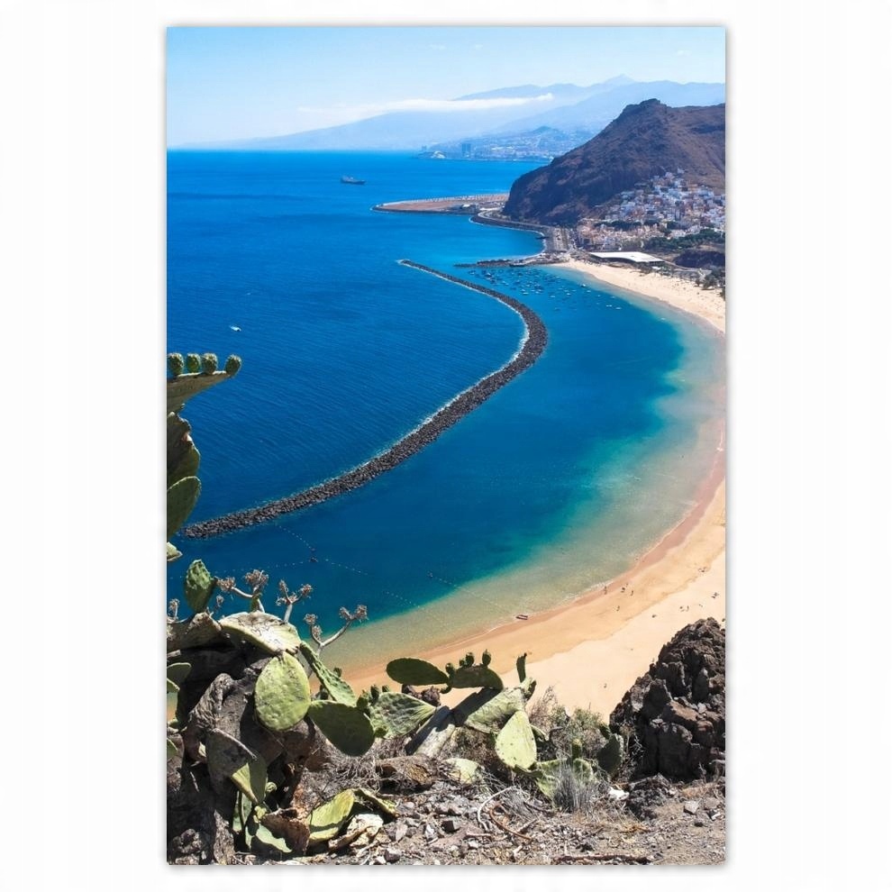 

Plakat 62x93 Spojrzenie zza kaktusa