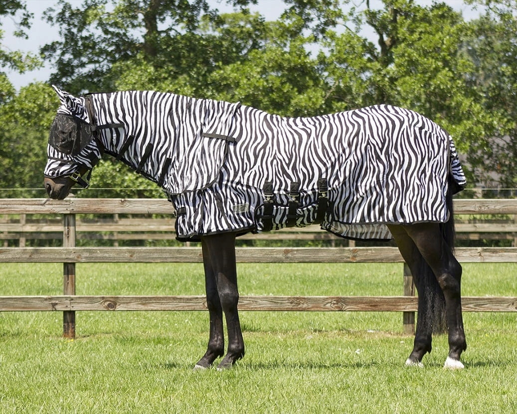 Derka siatkowa dla konia Qhp z szyją i maską zebra 205 (155)