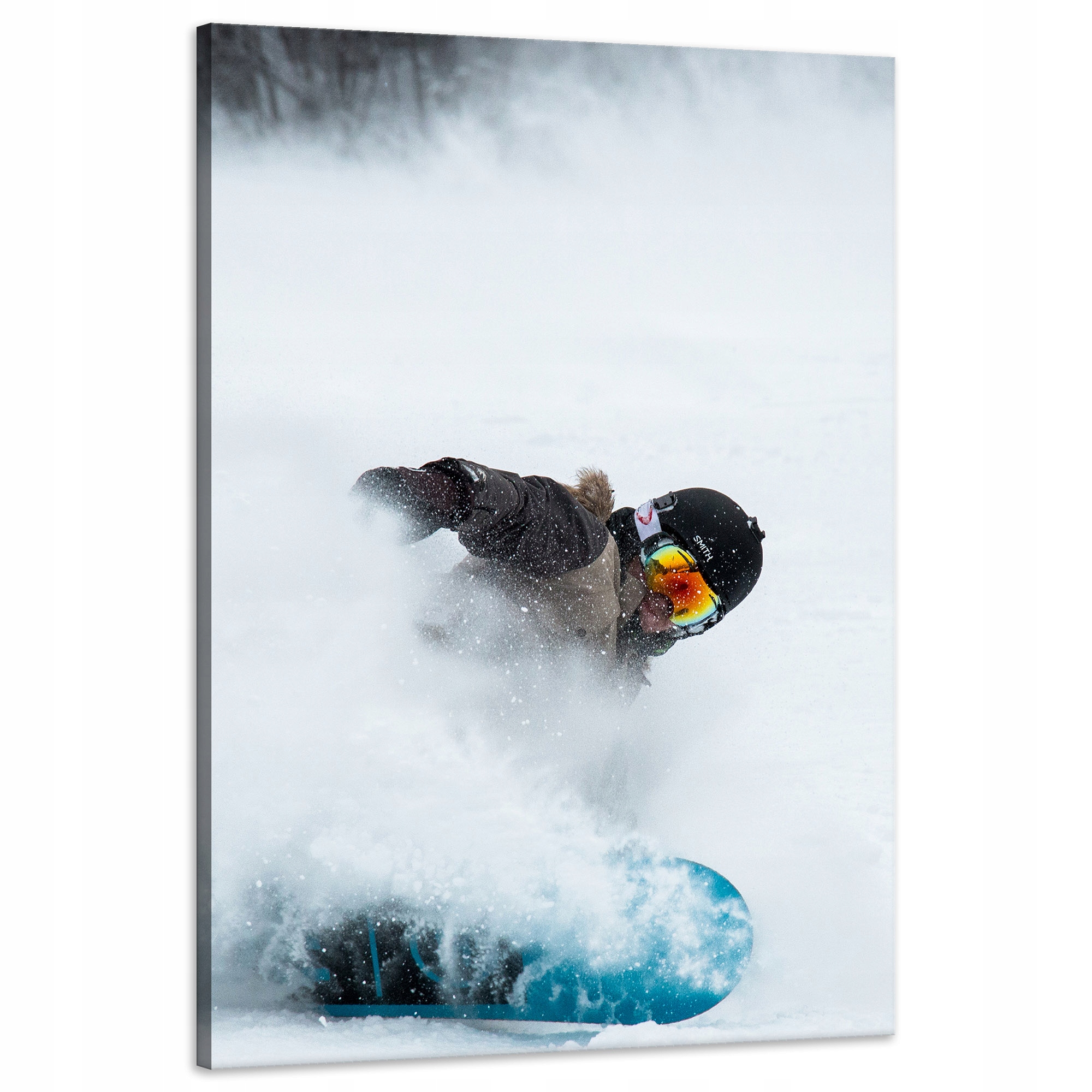 Obraz na plátně Snowboard Sníh Zima 60x90