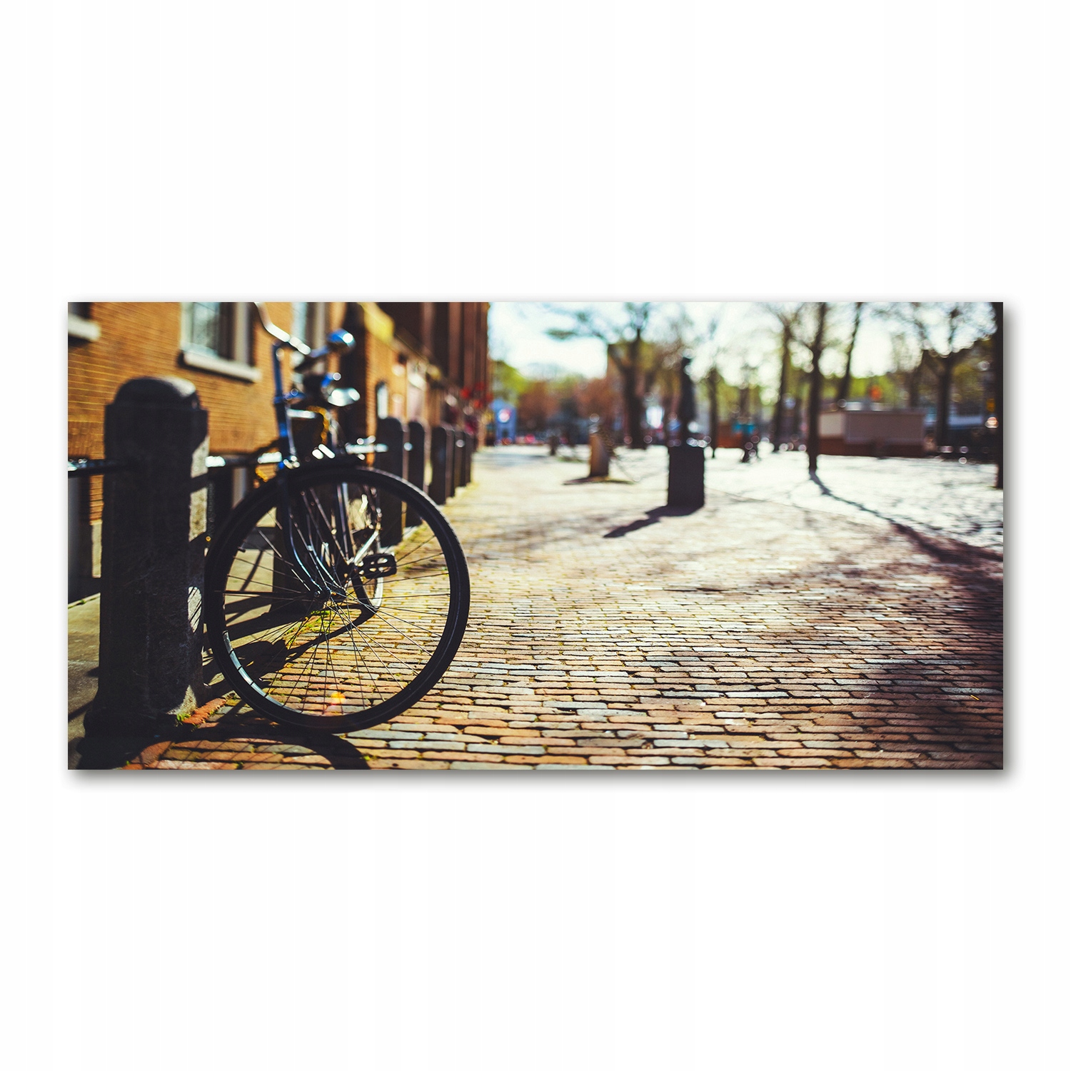 

Foto obraz szkło akryl Rower w Amsterdamie 120X60