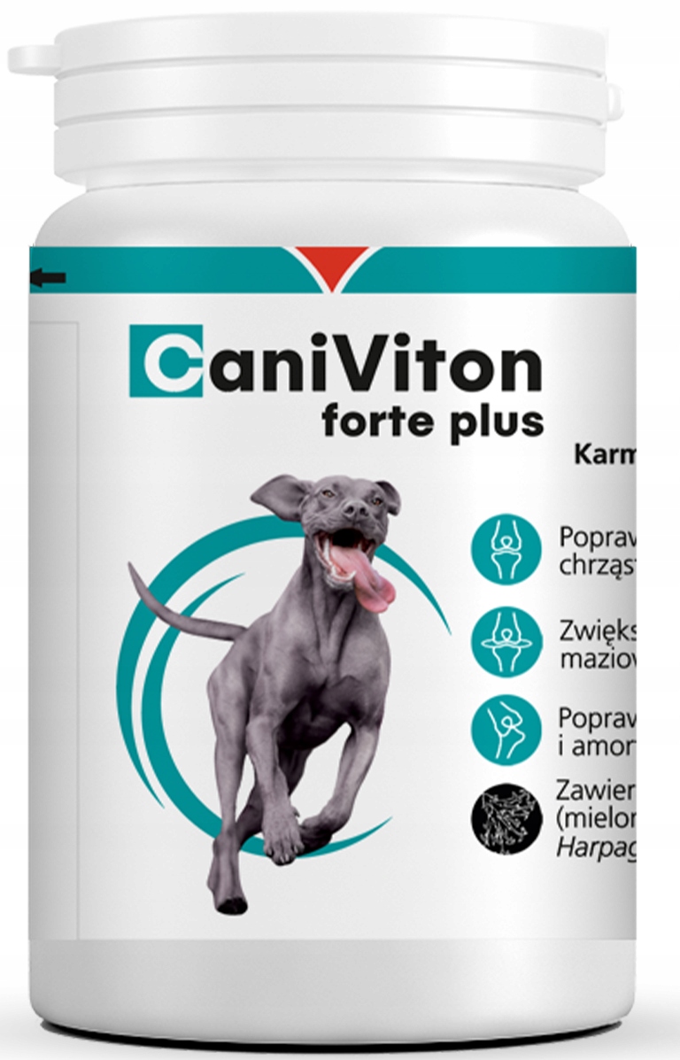 Vetoquinol Caniviton Forte Plus 90 tablet
