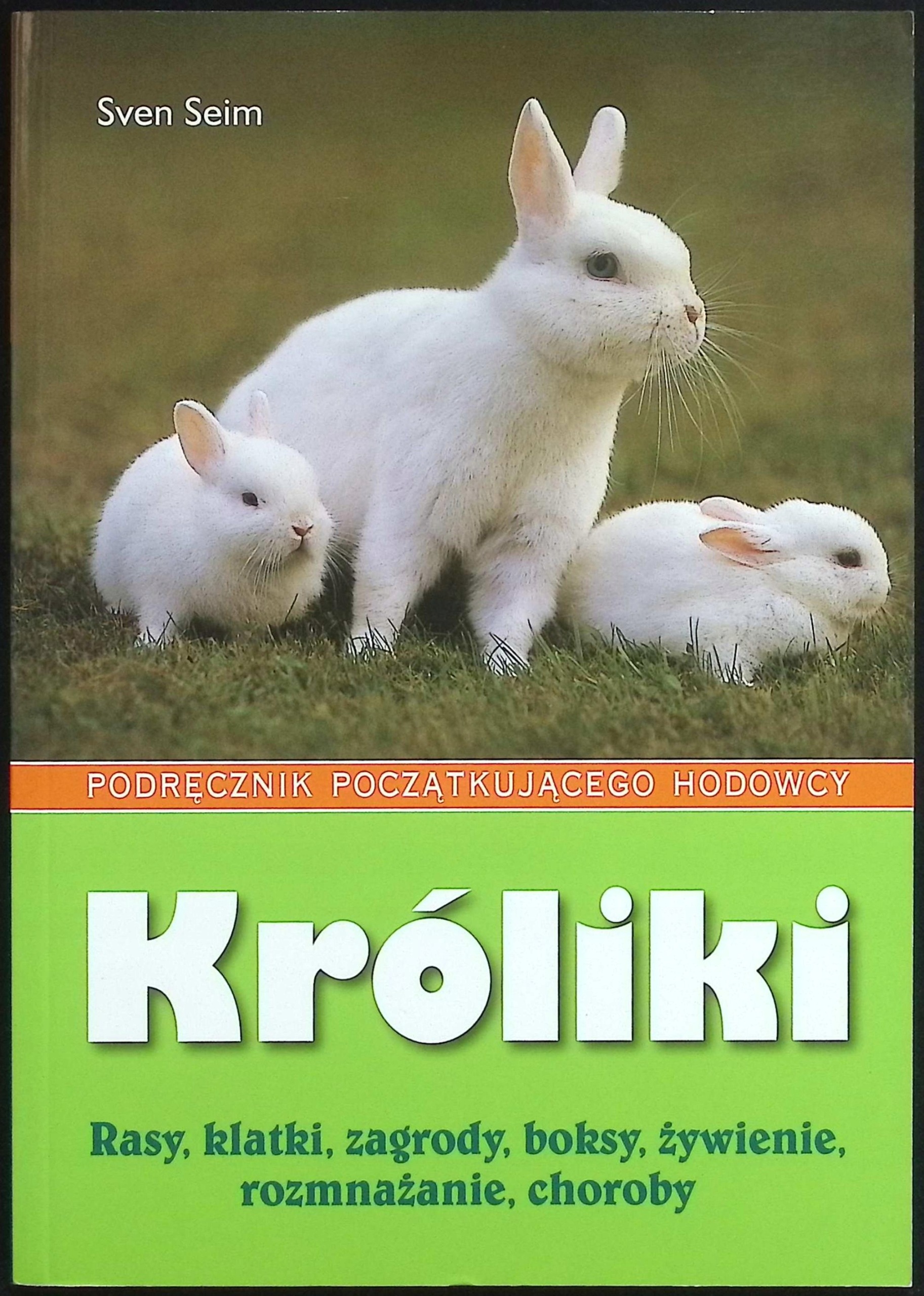 króliki Sven Sein