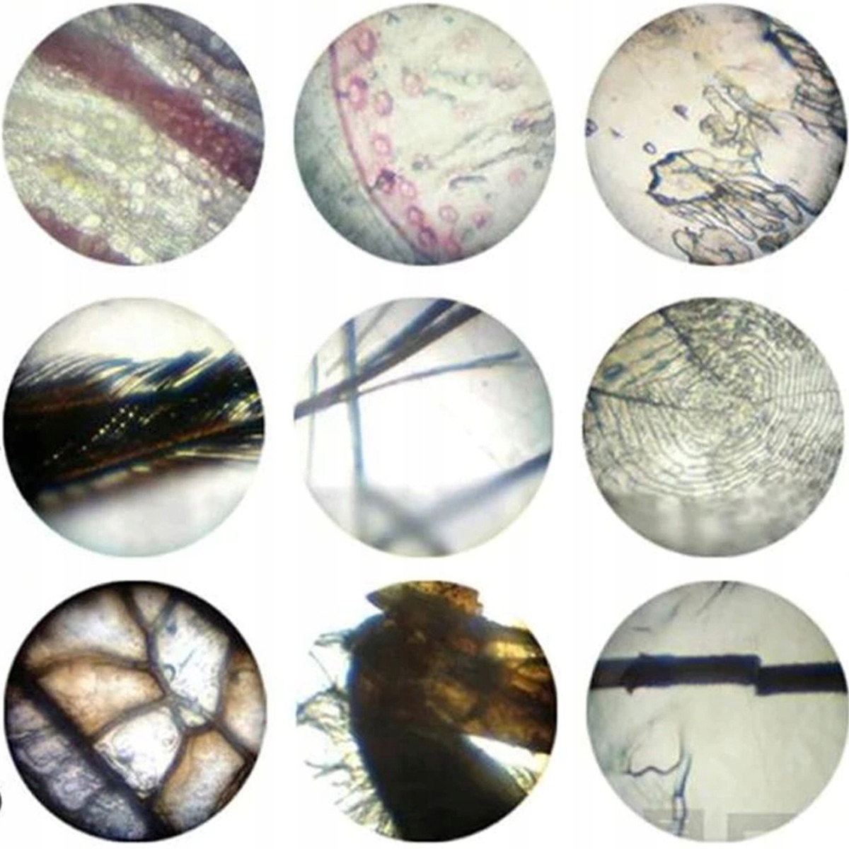 MIKROSKOP EDUKACYJNY NAUKA EKSPERYMENT DLA DZIECI 1200X ZABAWKA EDUKACYJNA Materiał plastik