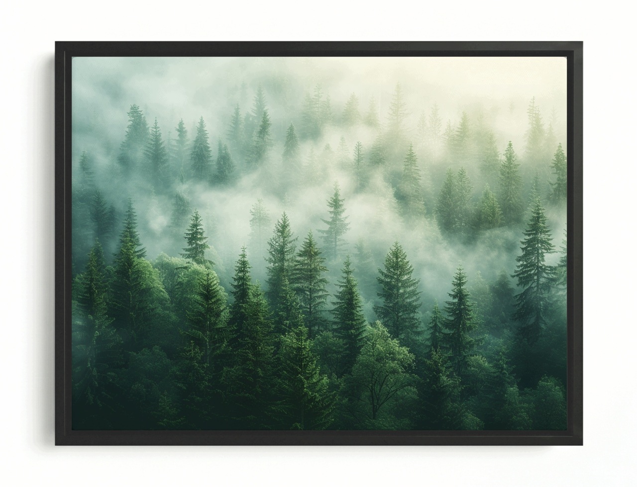 Obraz Rám Americká Krajina Hory Stromy Les Mlha Slunce 80x60