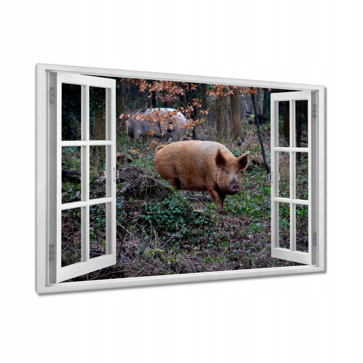 Obrazy 120x80 Zvířata Zvířátka
