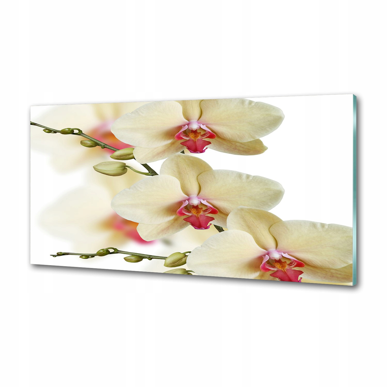 Panel medzi nábytkom v kuchyni Orchidea 120x60 Lepidlo