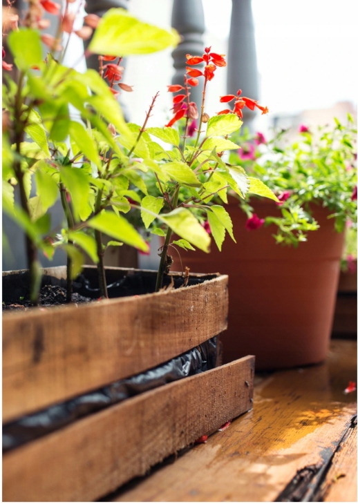 Impregnat do drewna Impra Koopmans 106 ORZECH 2,5l Zastosowanie na zewnątrz