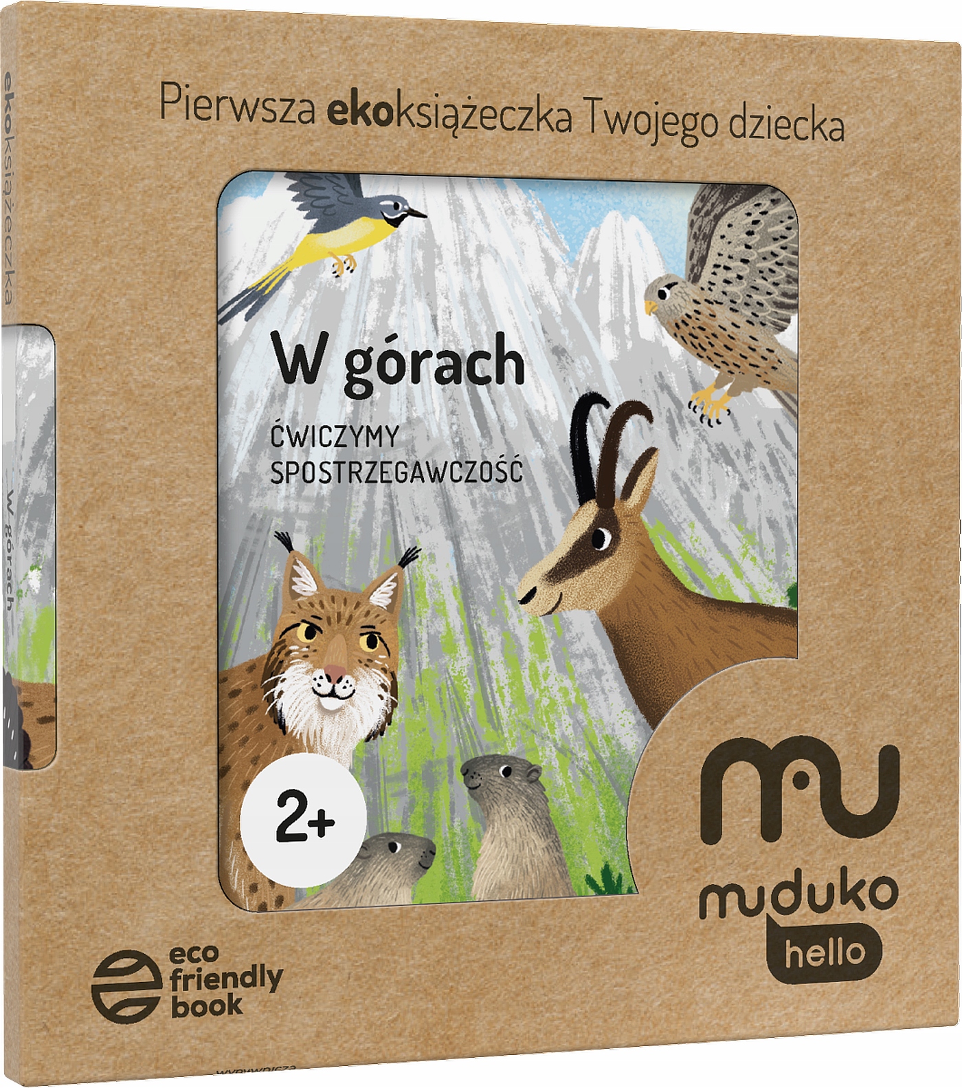 W GÓRACH. ĆWICZYMY SPOSTRZEGAWCZOŚĆ 2+....