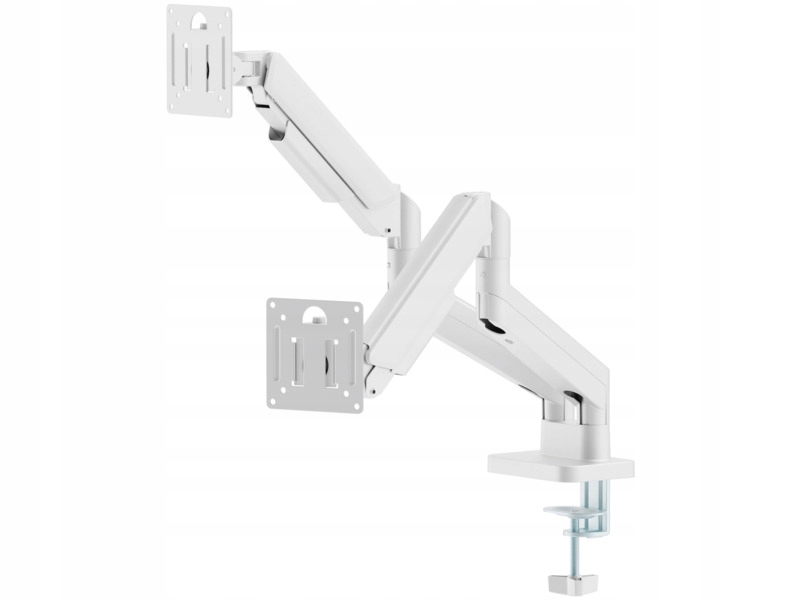 Uchwyt do monitora Gembird MA-DA2-06-W 17-32 cali Biały