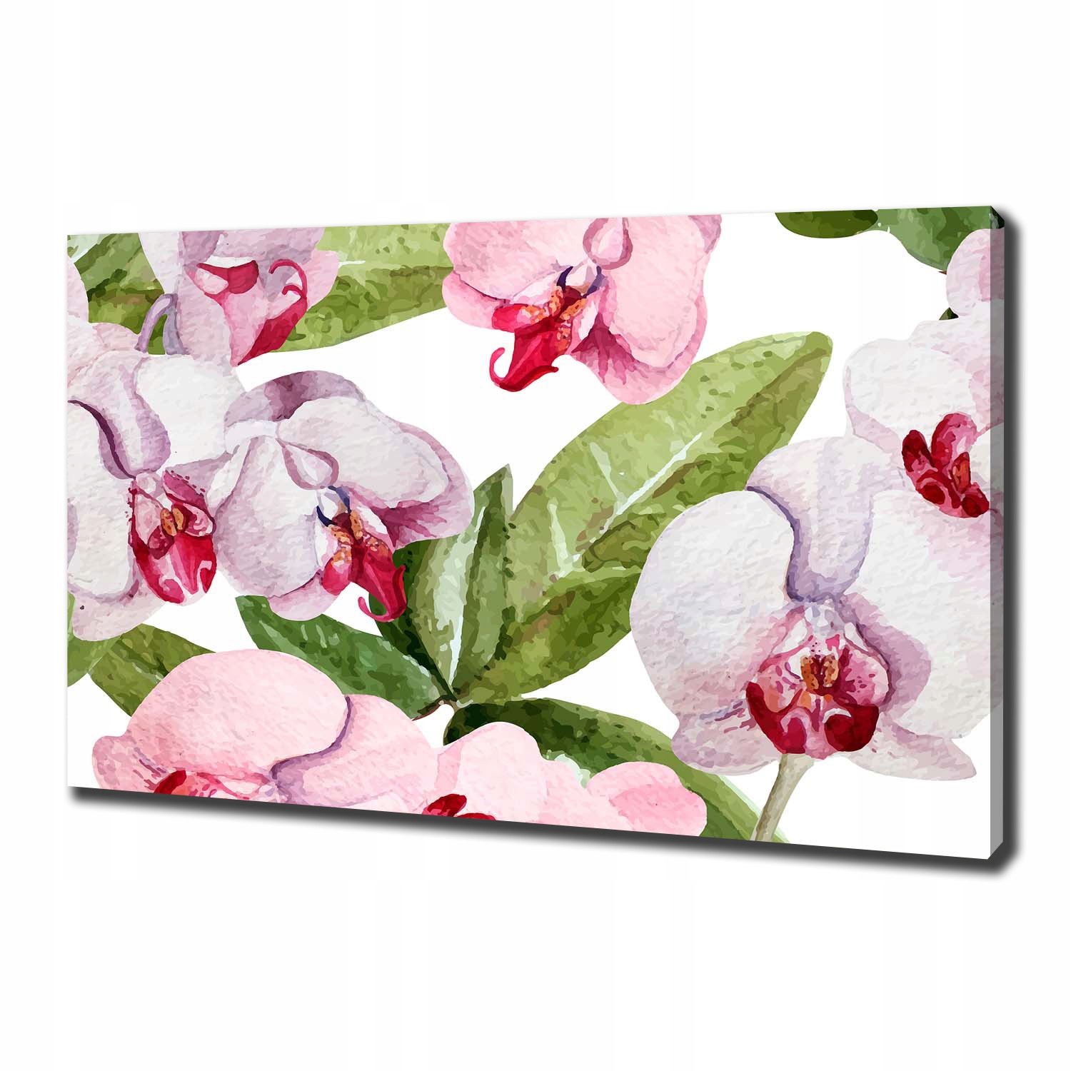 

Foto obraz na płótnie Różowe orchidee 100x70 cm