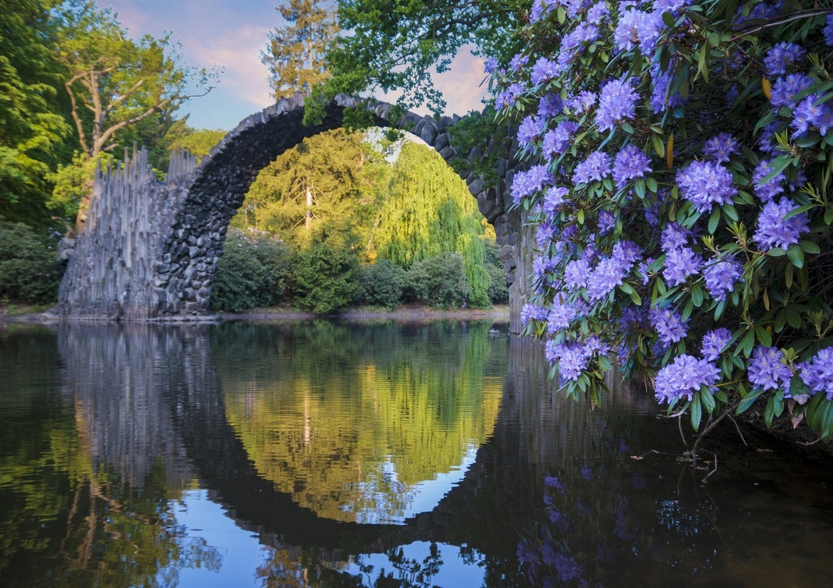 

Fototapeta Flizelinowa Rododendrony 312x219