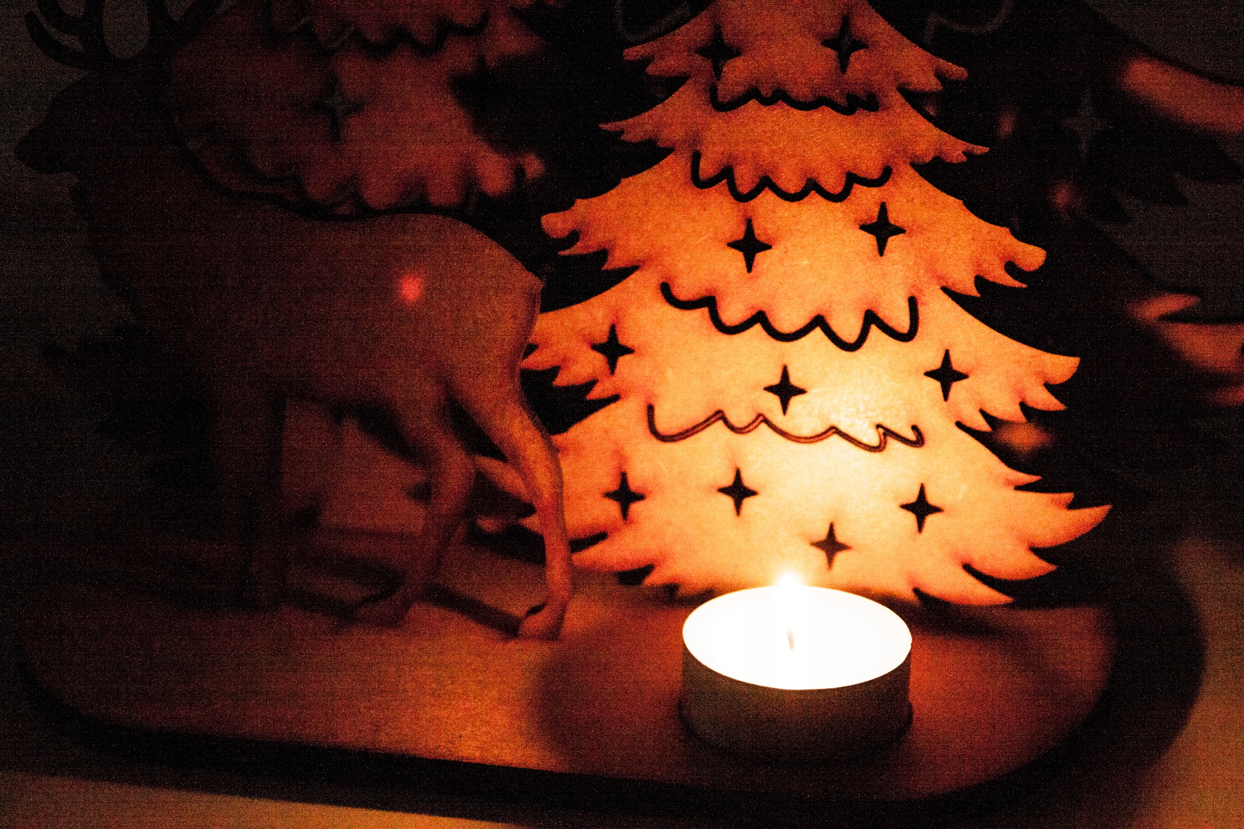 Podstawka stroik ŚWIECZKA ŚWIĄTECZNA Choinka Led Rodzaj Stojak do bombek